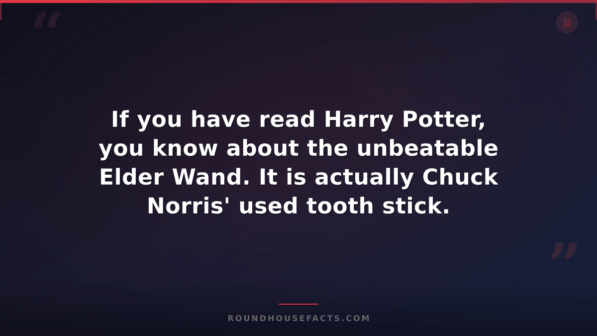 Chuck Norris Fact — If you have read Harry Potter, you know about the unbeatable