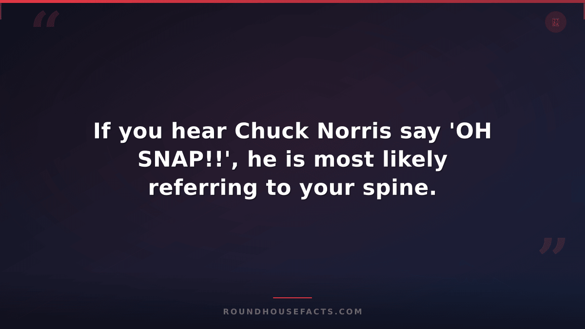 Chuck Norris Fact — If you hear Chuck Norris say 'OH SNAP!!', he is most likely