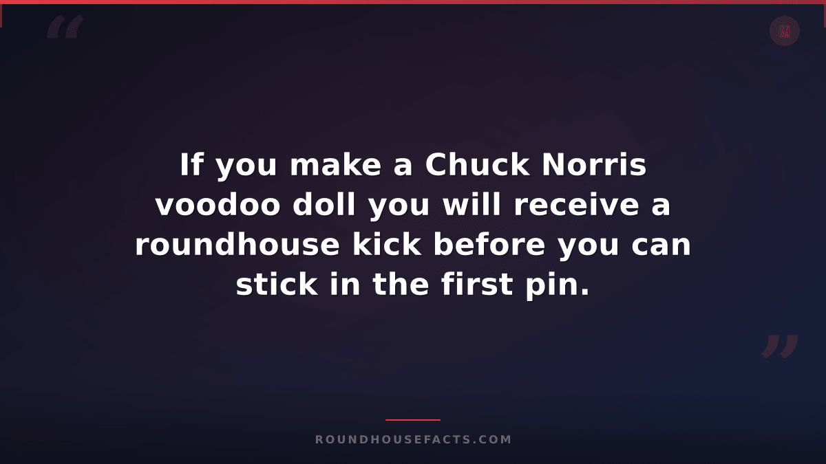Chuck Norris Fact — If you make a Chuck Norris voodoo doll you will receive a ro