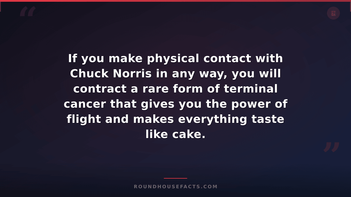 Chuck Norris Fact — If you make physical contact with Chuck Norris in any way, y