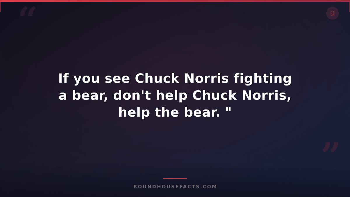 Chuck Norris Fact — If you see Chuck Norris fighting a bear, don't help Chuck No
