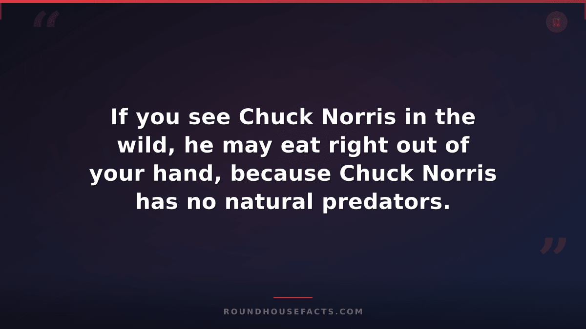 Chuck Norris Fact — If you see Chuck Norris in the wild, he may eat right out of