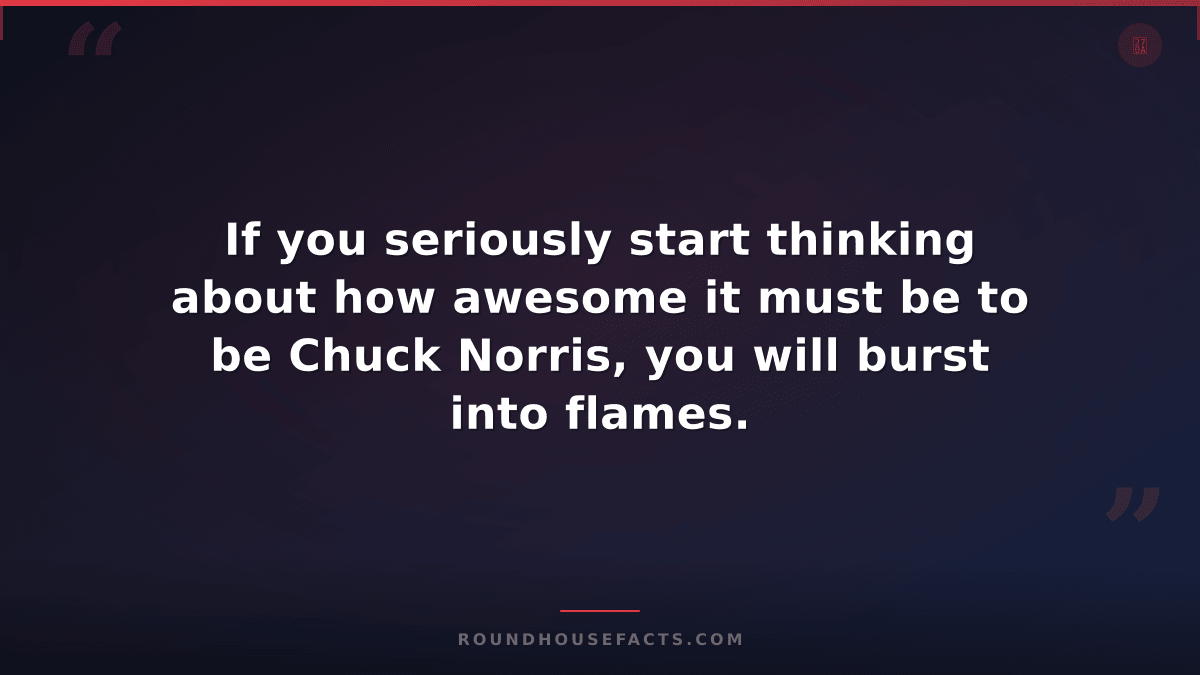 Chuck Norris Fact — If you seriously start thinking about how awesome it must be