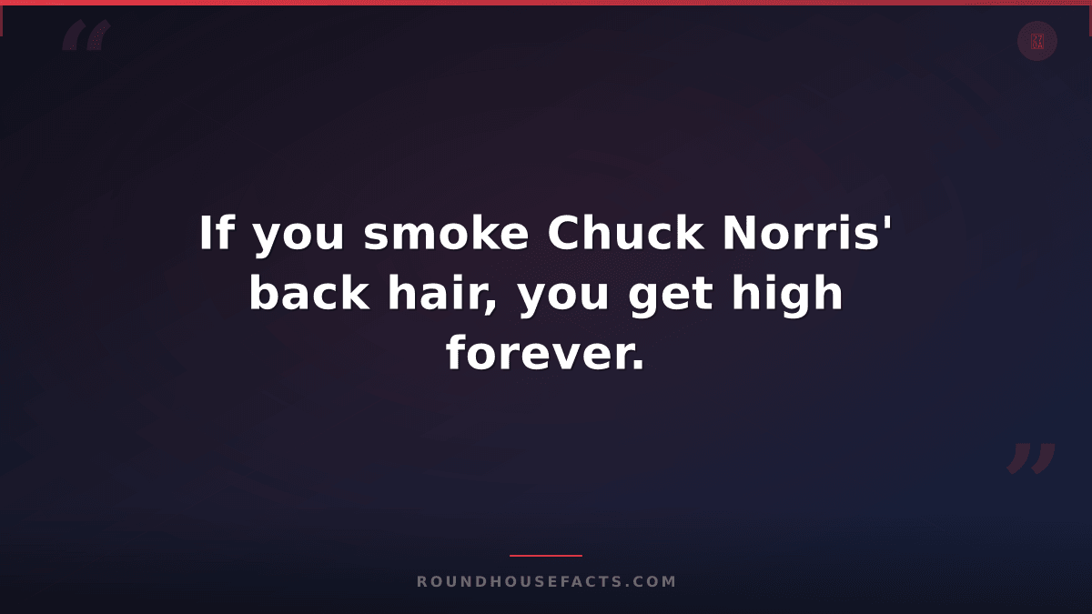 Chuck Norris Fact — If you smoke Chuck Norris' back hair, you get high forever.