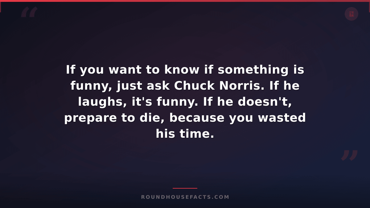Chuck Norris Fact — If you want to know if something is funny, just ask Chuck No