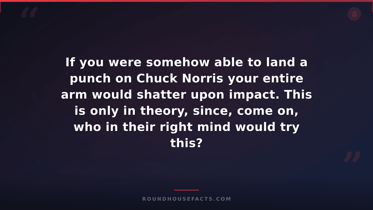 Chuck Norris Fact — If you were somehow able to land a punch on Chuck Norris you