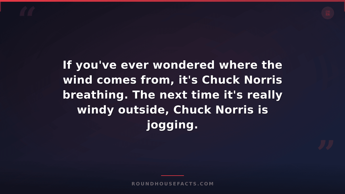 Chuck Norris Fact — If you've ever wondered where the wind comes from, it's Chuc