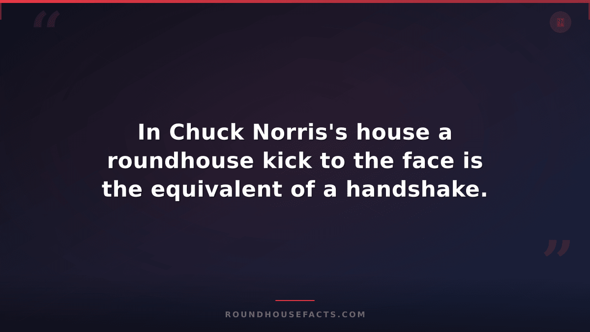 Chuck Norris Fact — In Chuck Norris's house a roundhouse kick to the face is the