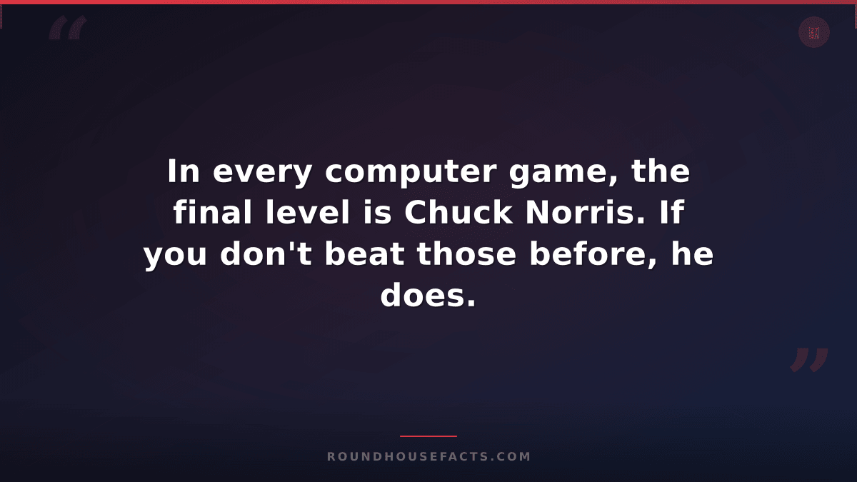 Chuck Norris Fact — In every computer game, the final level is Chuck Norris. If