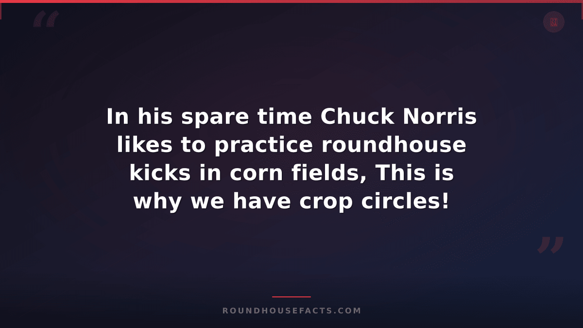Chuck Norris Fact — In his spare time Chuck Norris likes to practice roundhouse