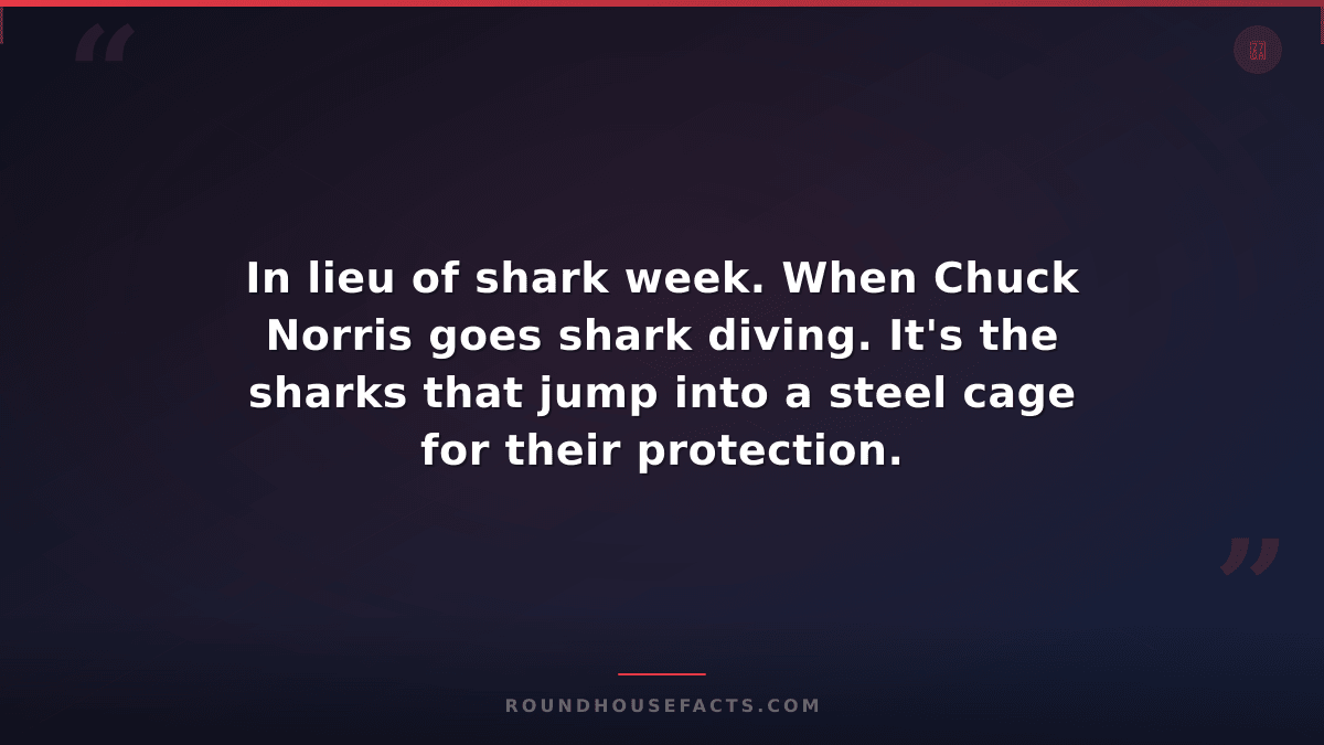 Chuck Norris Fact — In lieu of shark week. When Chuck Norris goes shark diving.