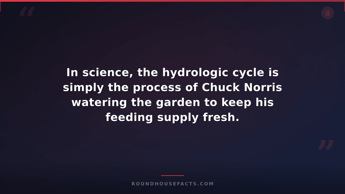 Chuck Norris Fact — In science, the hydrologic cycle is simply the process of Ch