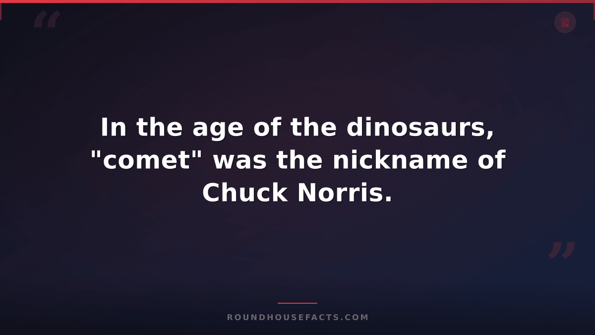 Chuck Norris Fact — In the age of the dinosaurs, "comet" was the nickname of Chu