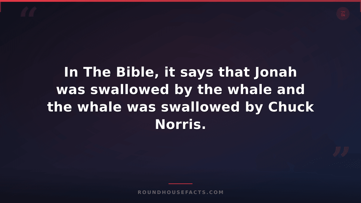 Chuck Norris Fact — In The Bible, it says that Jonah was swallowed by the whale