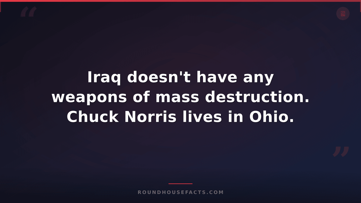 Chuck Norris Fact — Iraq doesn't have any weapons of mass destruction. Chuck Nor