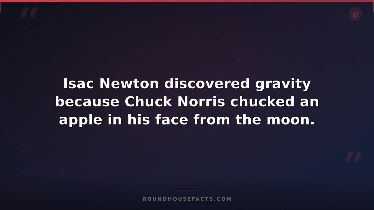 Chuck Norris Fact — Isac Newton discovered gravity because Chuck Norris chucked
