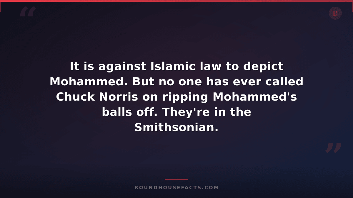 Chuck Norris Fact — It is against Islamic law to depict Mohammed. But no one has