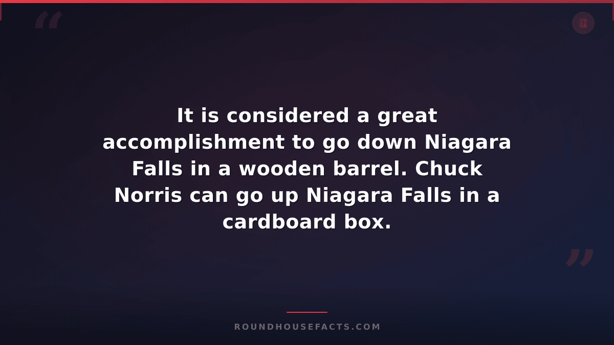 Chuck Norris Fact — It is considered a great accomplishment to go down Niagara F