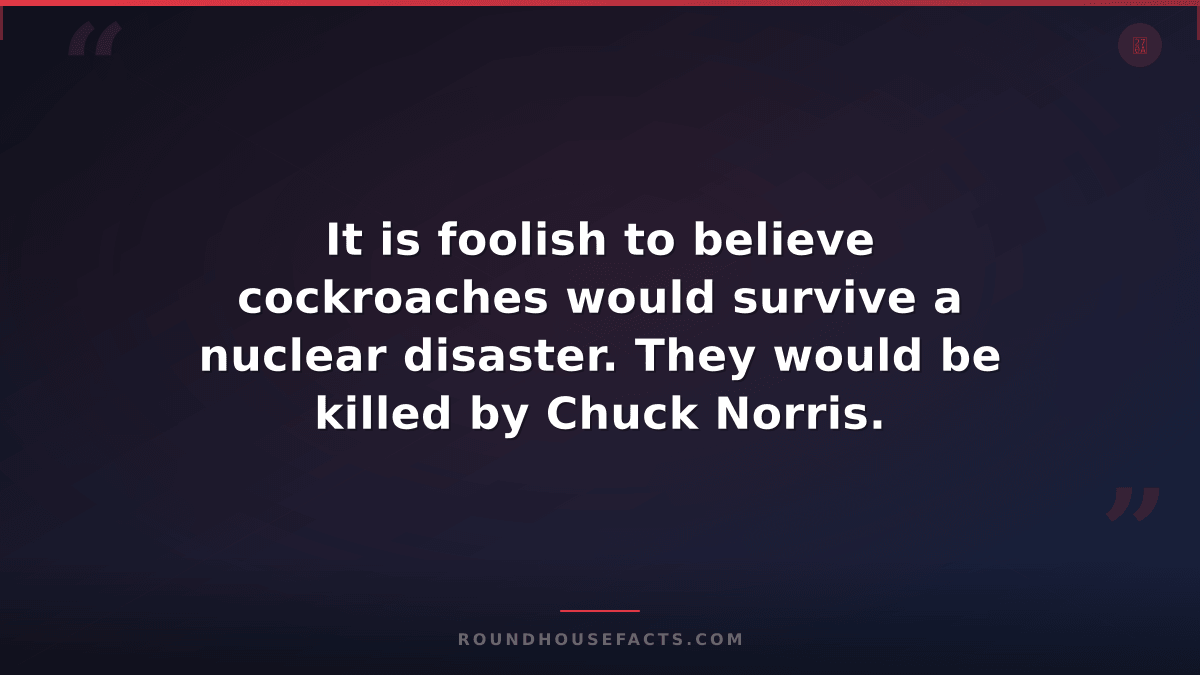 Chuck Norris Fact — It is foolish to believe cockroaches would survive a nuclear