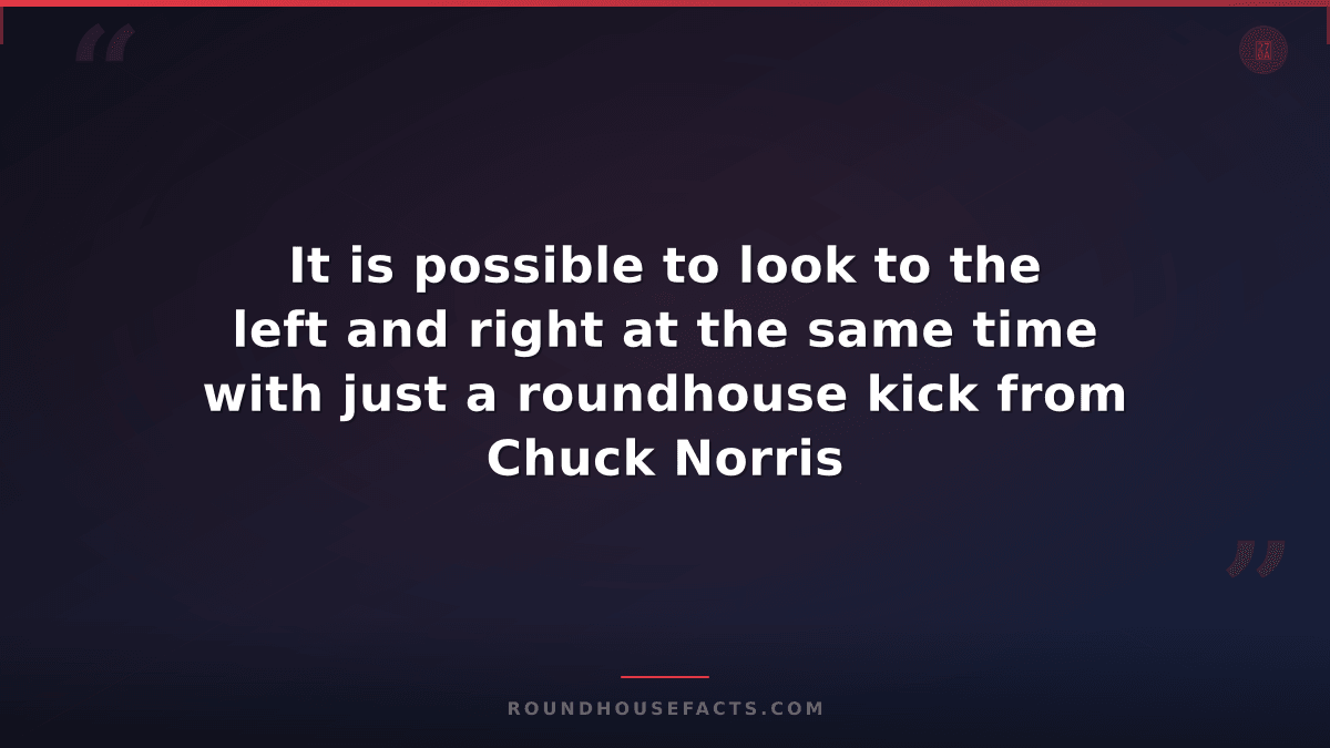 Chuck Norris Fact — It is possible to look to the left and right at the same tim
