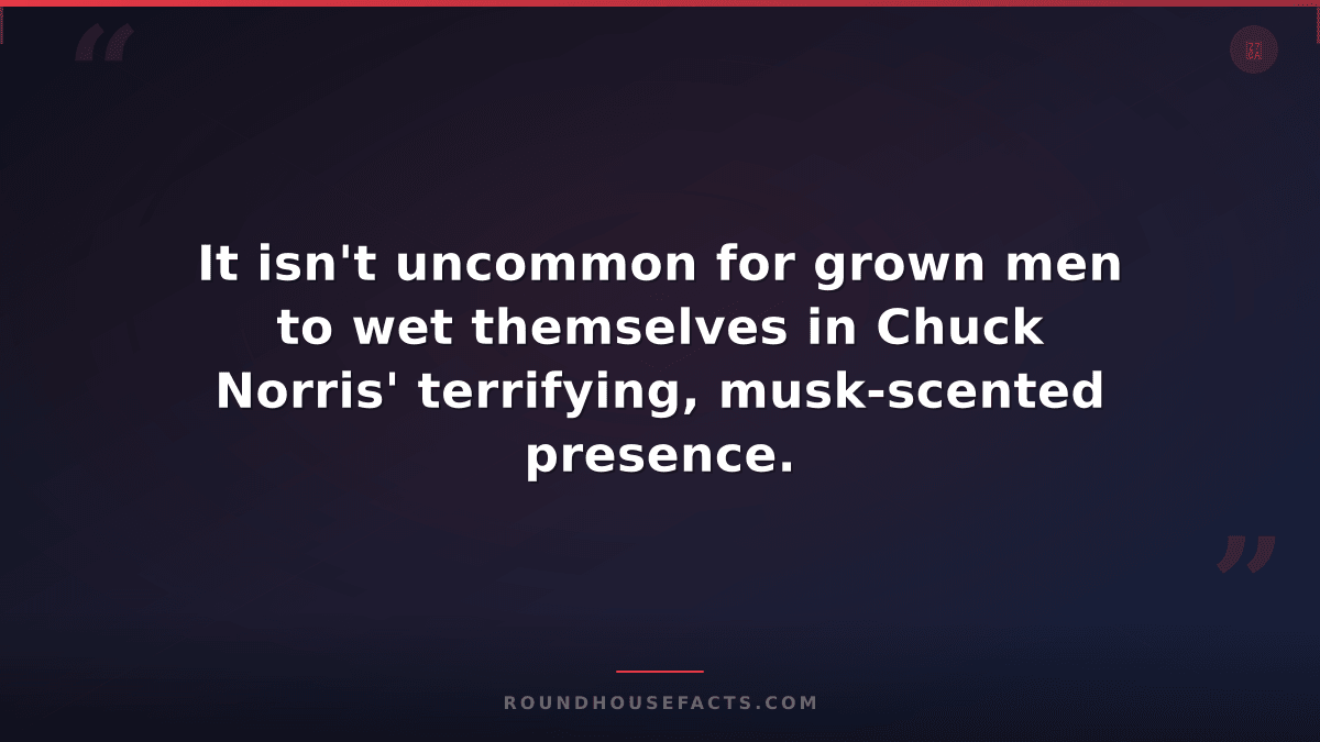 Chuck Norris Fact — It isn't uncommon for grown men to wet themselves in Chuck N