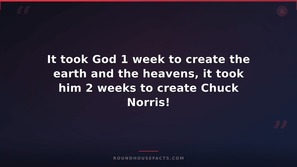 Chuck Norris Fact — It took God 1 week to create the earth and the heavens, it t