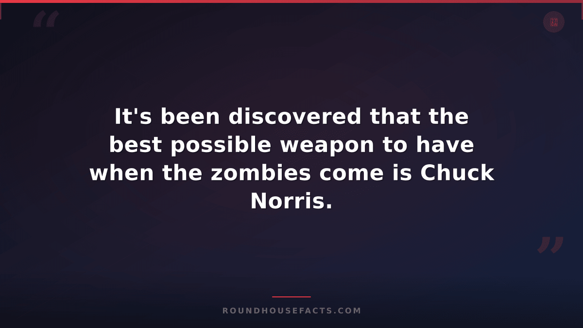 Chuck Norris Fact — It's been discovered that the best possible weapon to have w