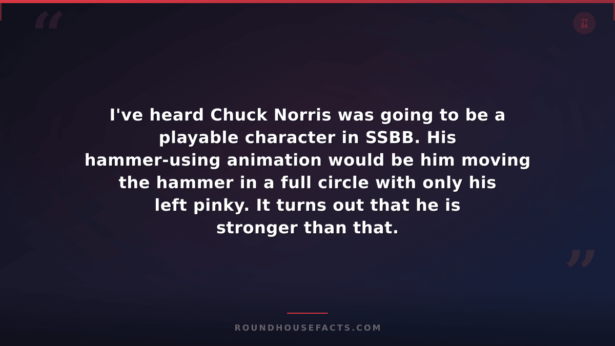 Chuck Norris Fact — I've heard Chuck Norris was going to be a playable character