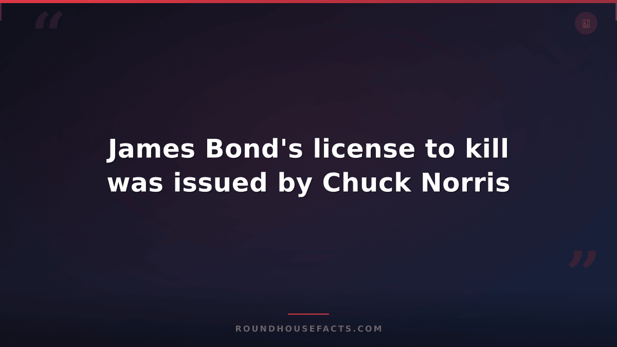 Chuck Norris Fact — James Bond's license to kill was issued by Chuck Norris