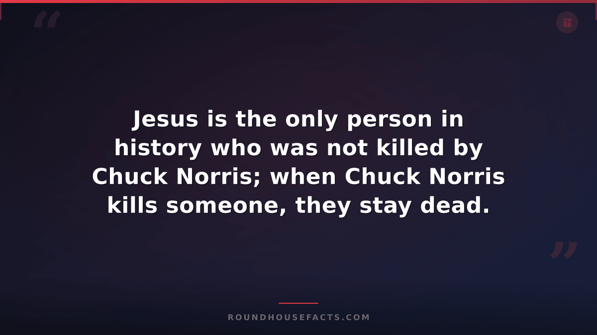 Chuck Norris Fact — Jesus is the only person in history who was not killed by Ch