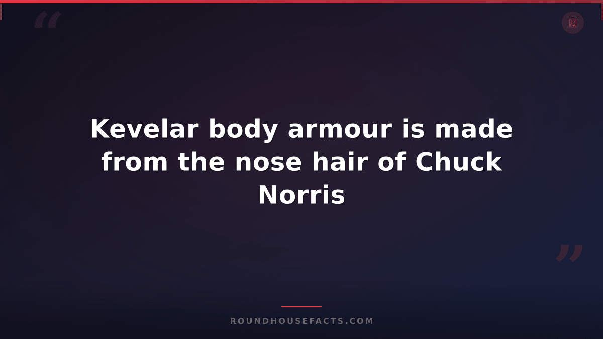 Chuck Norris Fact — Kevelar body armour is made from the nose hair of Chuck Norr