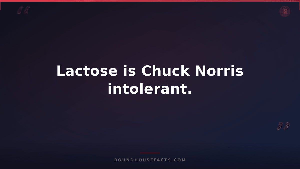 Chuck Norris Fact — Lactose is Chuck Norris intolerant.