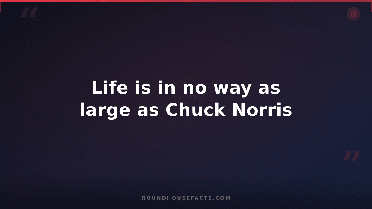 Chuck Norris Fact — Life is in no way as large as Chuck Norris