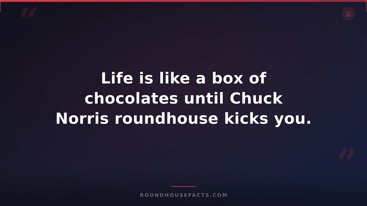 Chuck Norris Fact — Life is like a box of chocolates until Chuck Norris roundhou