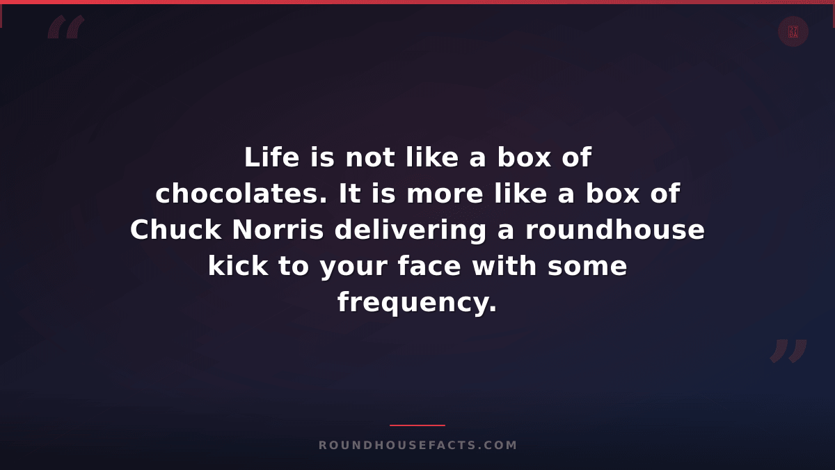 Chuck Norris Fact — Life is not like a box of chocolates. It is more like a box