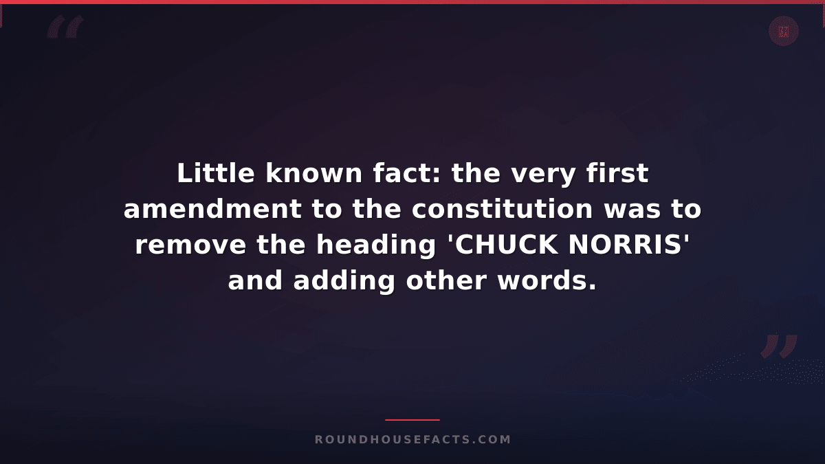 Chuck Norris Fact — Little known fact: the very first amendment to the constitut