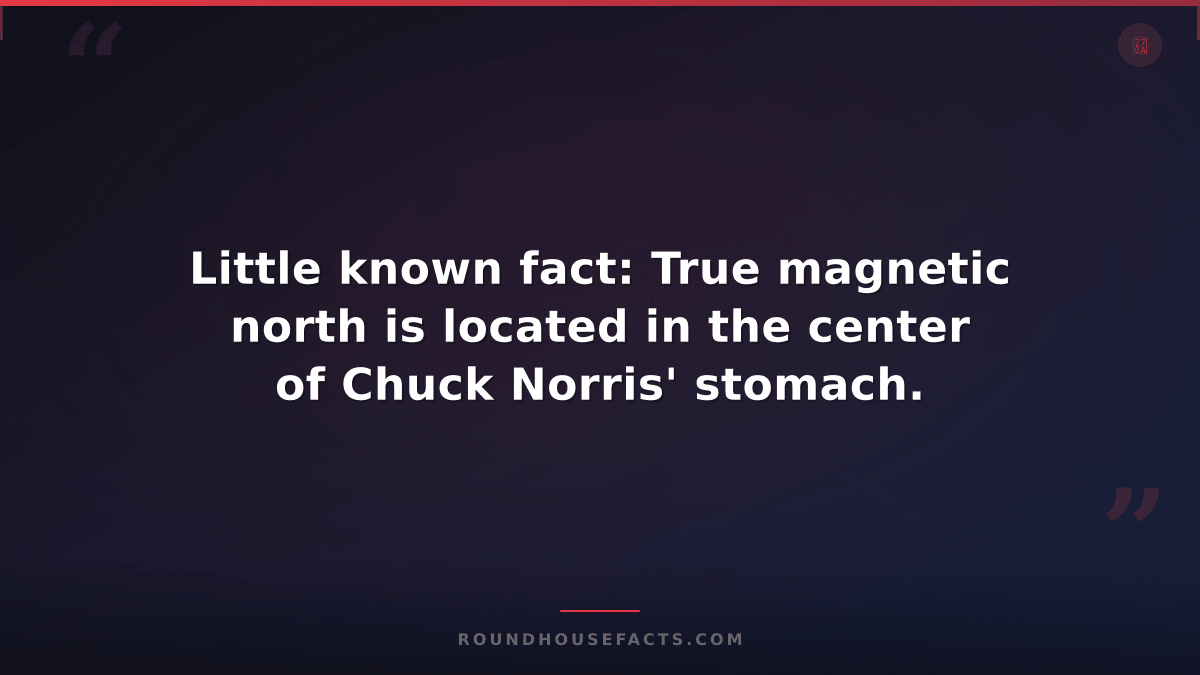 Chuck Norris Fact — Little known fact: True magnetic north is located in the cen