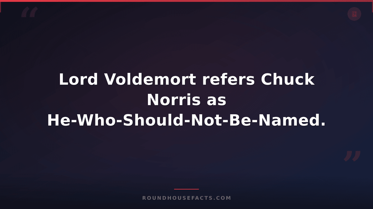 Chuck Norris Fact — Lord Voldemort refers Chuck Norris as He-Who-Should-Not-Be-N