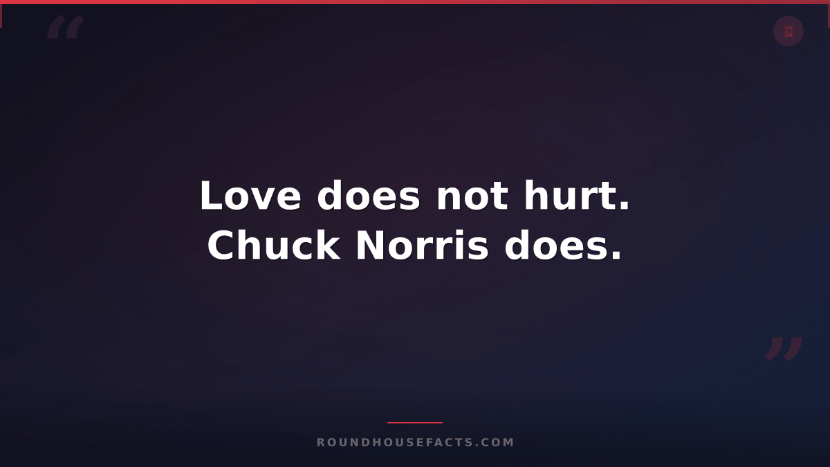 Chuck Norris Fact — Love does not hurt. Chuck Norris does.
