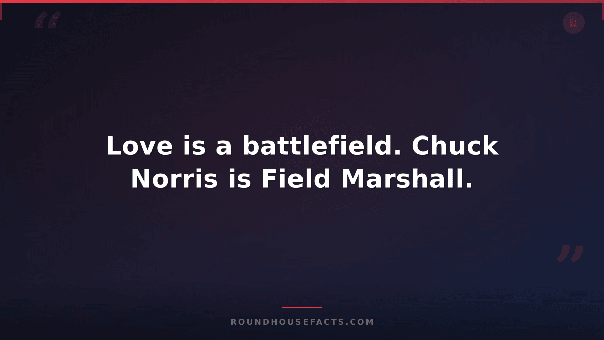 Chuck Norris Fact — Love is a battlefield. Chuck Norris is Field Marshall.