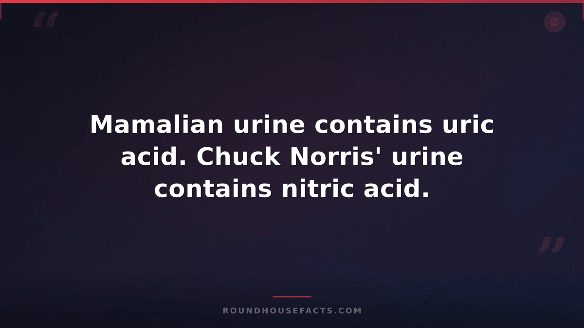 Chuck Norris Fact — Mamalian urine contains uric acid. Chuck Norris' urine conta