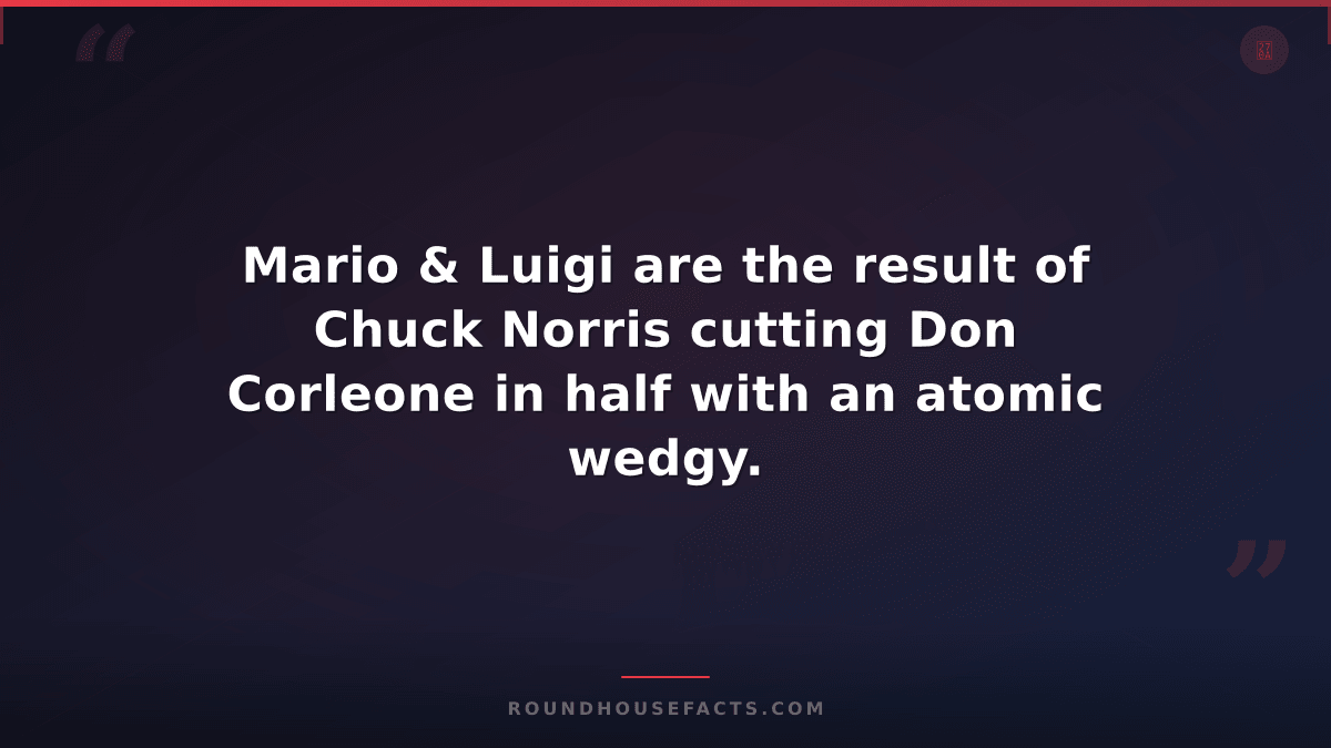 Chuck Norris Fact — Mario & Luigi are the result of Chuck Norris cutting Don Cor