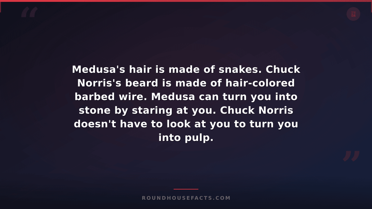 Chuck Norris Fact — Medusa's hair is made of snakes. Chuck Norris's beard is mad