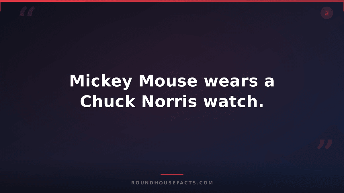 Chuck Norris Fact — Mickey Mouse wears a Chuck Norris watch.