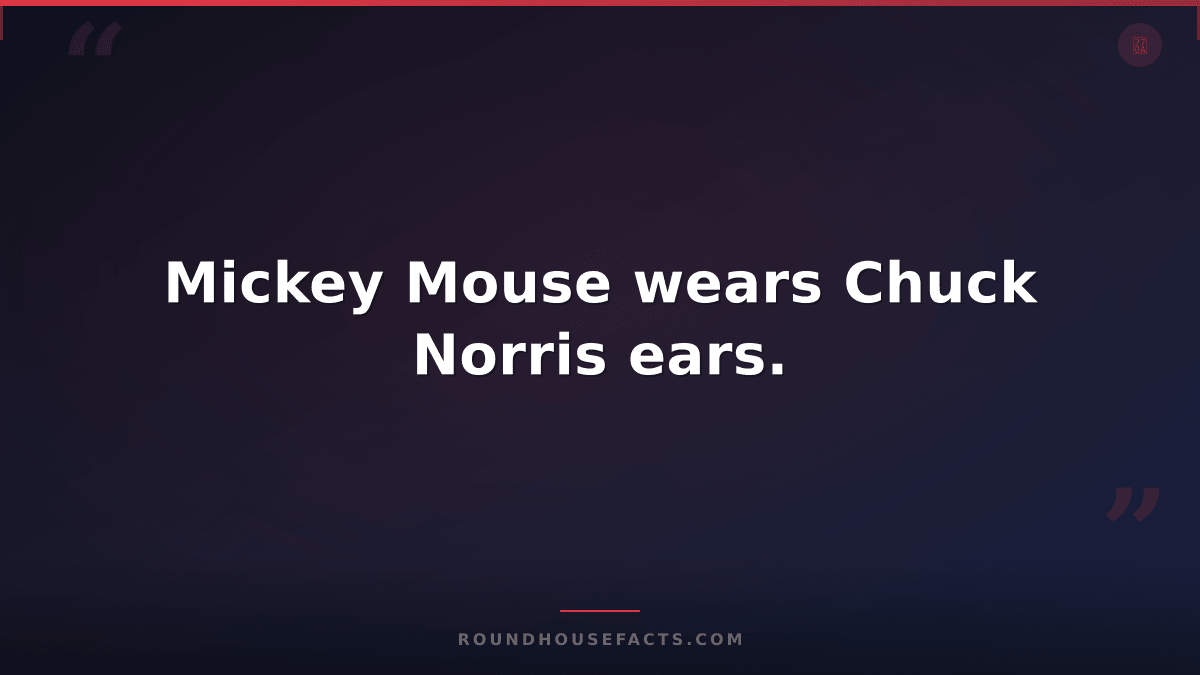 Chuck Norris Fact — Mickey Mouse wears Chuck Norris ears.