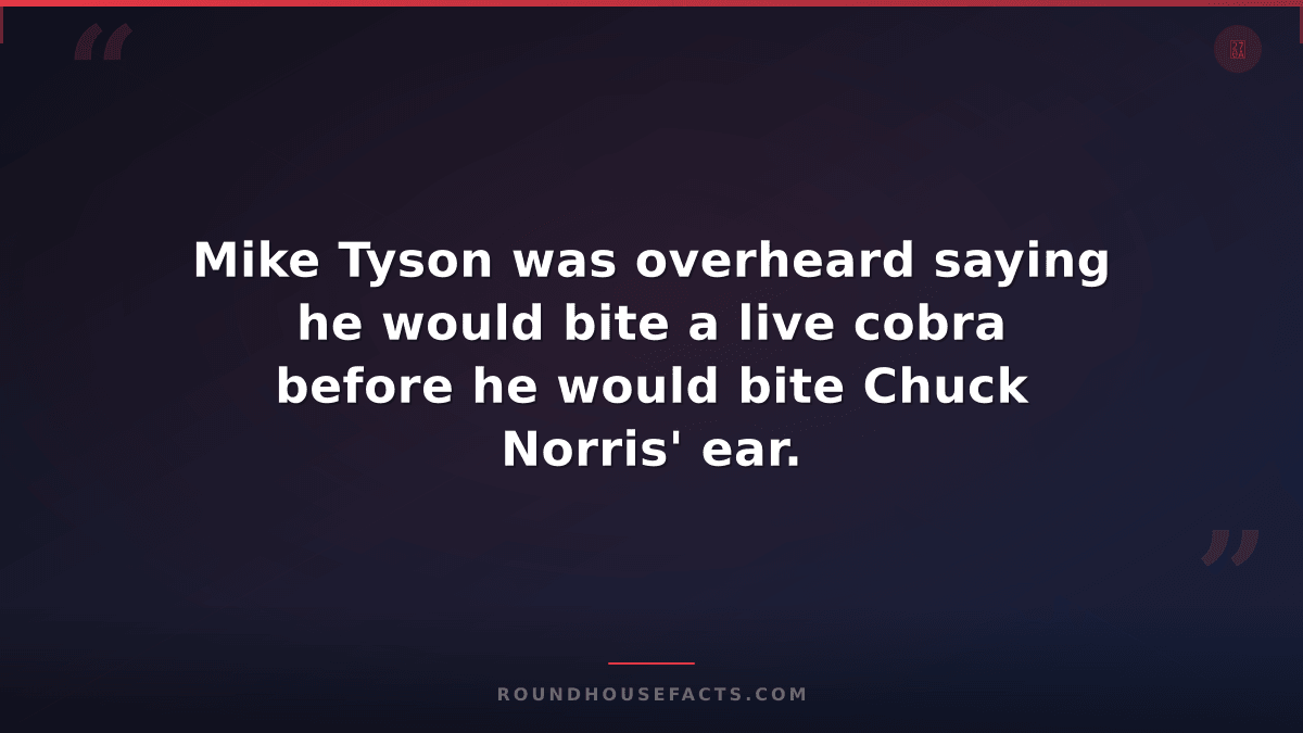 Chuck Norris Fact — Mike Tyson was overheard saying he would bite a live cobra b