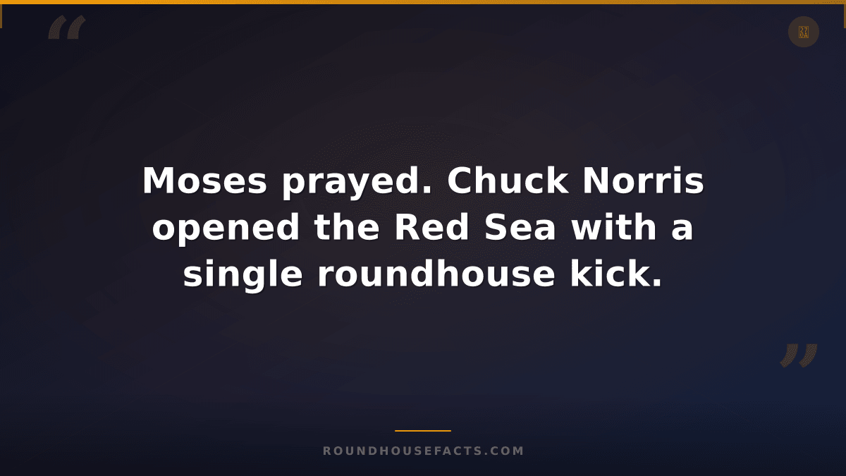 Chuck Norris Fact — Moses prayed. Chuck Norris opened the Red Sea with a single