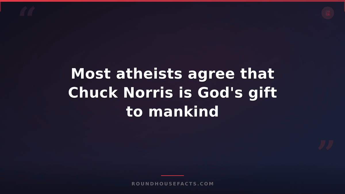 Chuck Norris Fact — Most atheists agree that Chuck Norris is God's gift to manki