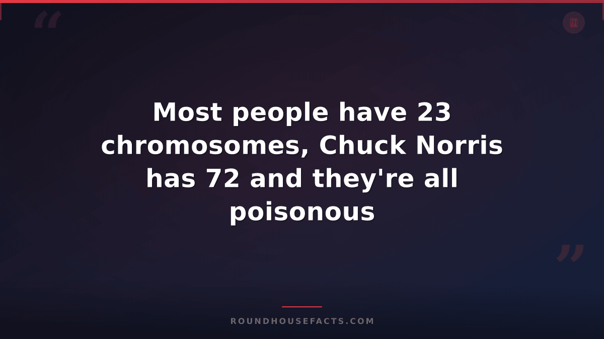 Chuck Norris Fact — Most people have 23 chromosomes, Chuck Norris has 72 and the