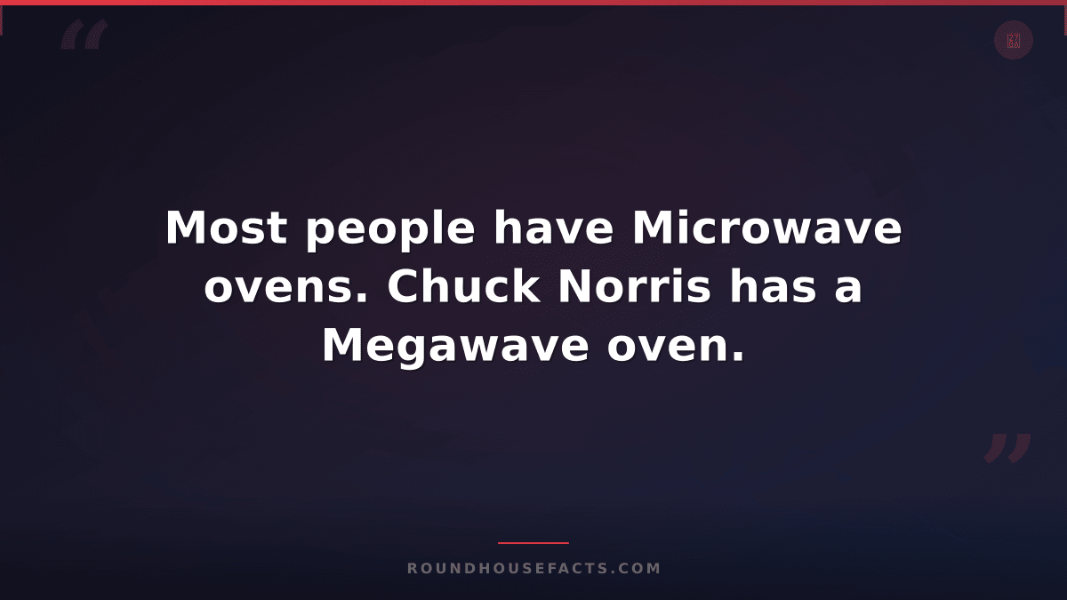 Chuck Norris Fact — Most people have Microwave ovens. Chuck Norris has a Megawav